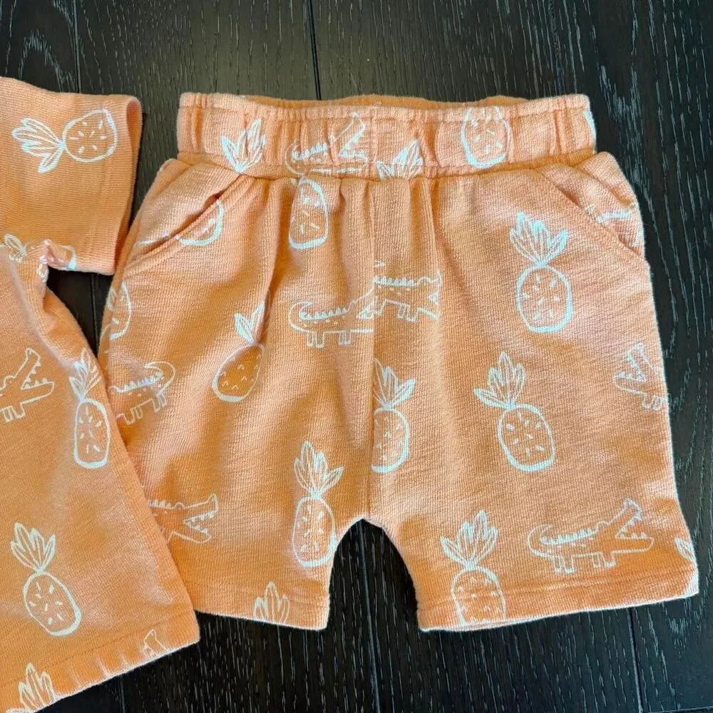 Toddler 24M Orange Terry Cloth Summer/Vacation Outfit Pineapples & Alligators‎